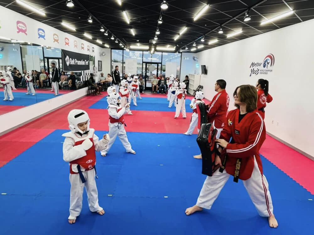 Master Yoo’s World Champion Taekwondo Programs image