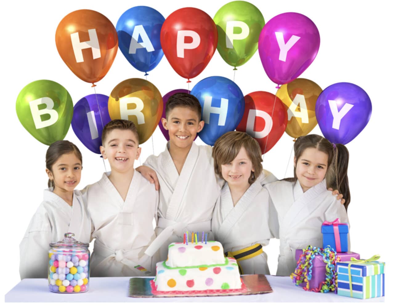 Master Yoo’s World Champion Taekwondo Birthday Parties