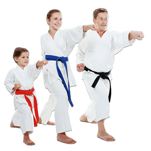 Martial Arts Lessons for Families in Wentzville MO - Man and Daughters Family Punching Together