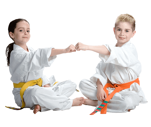 Martial Arts Lessons for Kids in Wentzville MO - Kids Greeting Happy Footer Banner