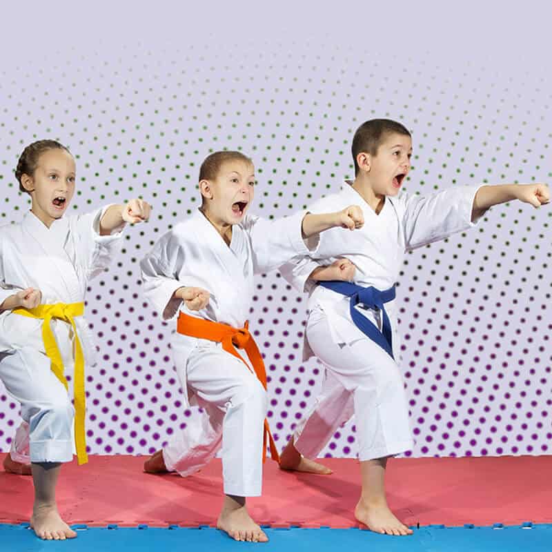 Martial Arts Lessons for Kids in Wentzville MO - Punching Focus Kids Sync