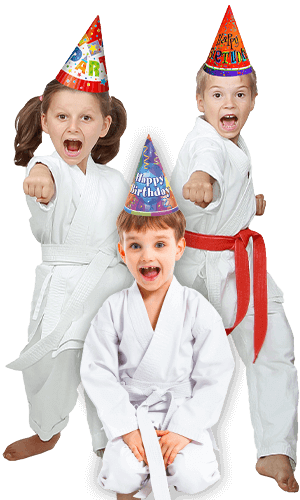 Martial Arts Birthday Party for Kids in Wentzville MO - Birthday Punches Page Banner